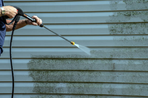 Best Roof Washing  in North Shore, CA